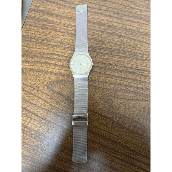 Skagen Denmark Watch Mens Silver Toned Thin Mesh Date Stainless Steel 23XLSGS main image 7